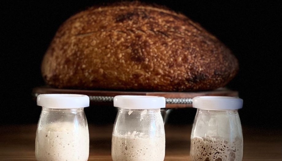 three sourdough starters in front of a loaf of sourdough bread