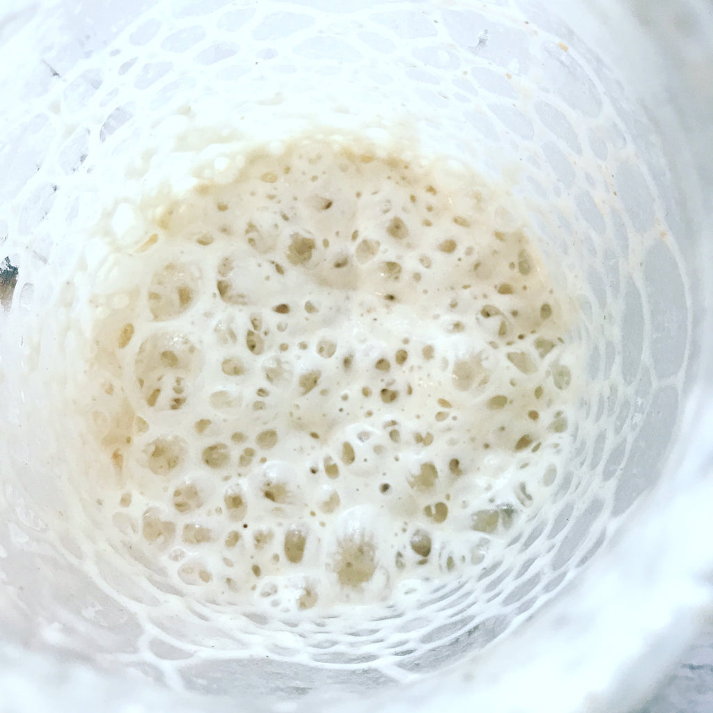 Lively sourdough starter culture filled with bubbles in a glass jar. View looking down into sourdough starter jar.